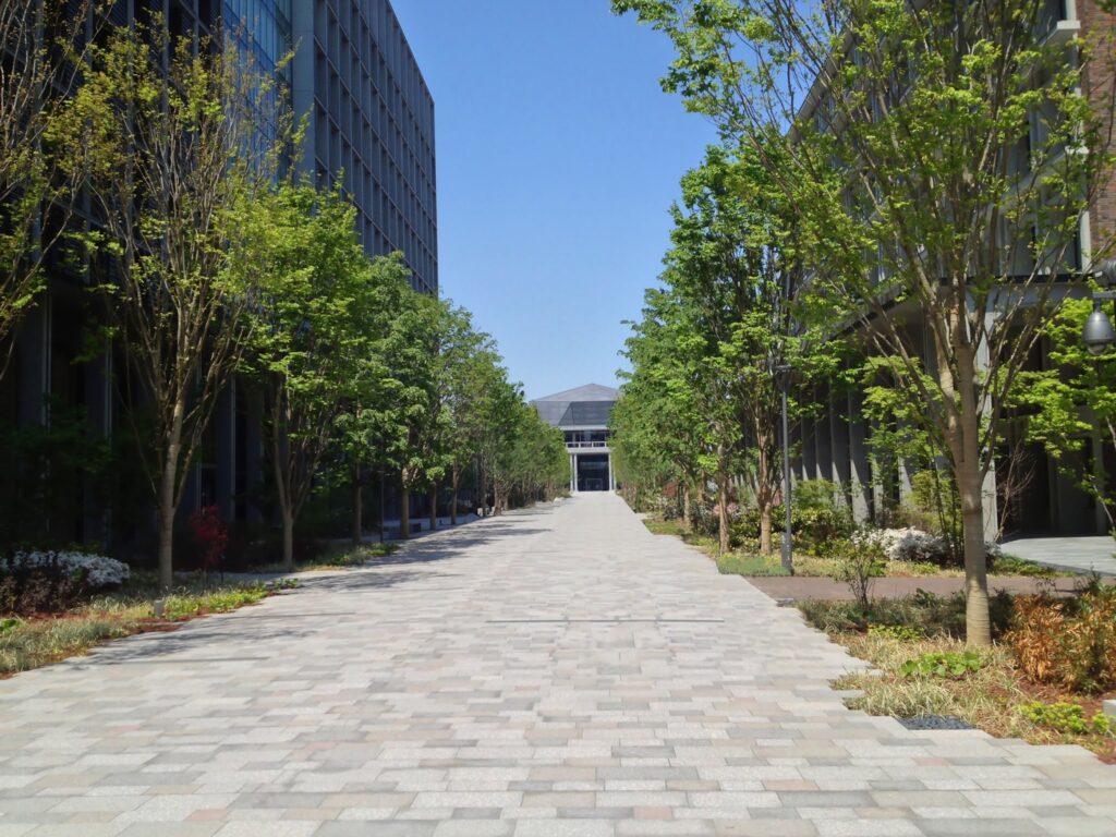 並木の美しい名古屋大学　このブログの作成者が名古屋出張の際撮った写真