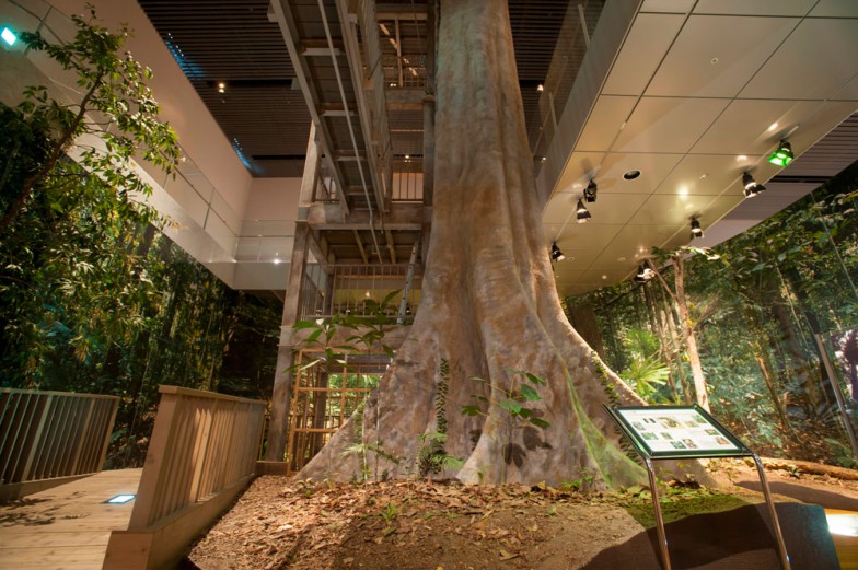 京都大学総合博物館 (ほとんど0円大学より)