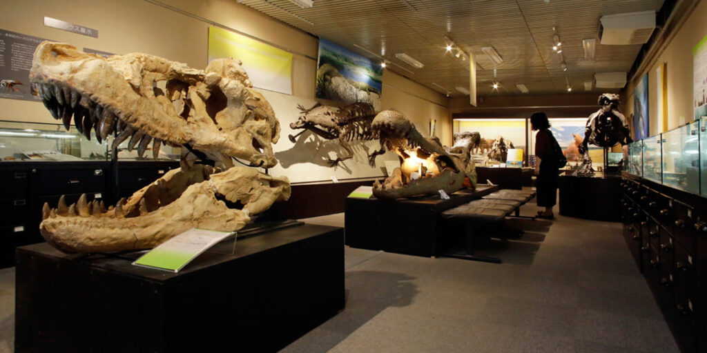 北海道大学総合博物館 (ようこそさっぽろより)