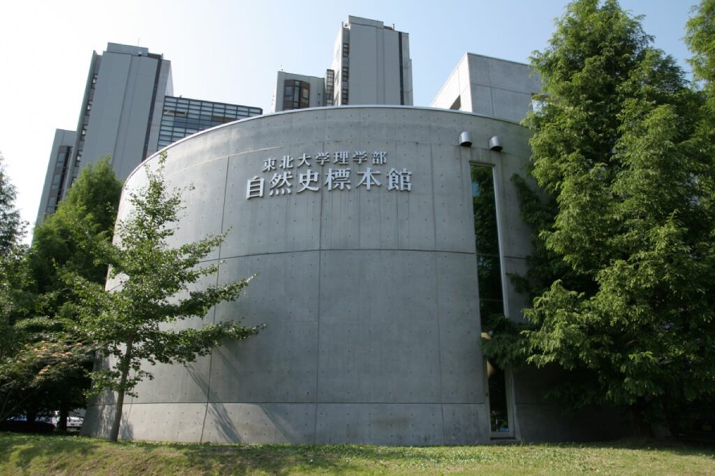 東北大学総合学術博物館 (せんだい旅日和より)