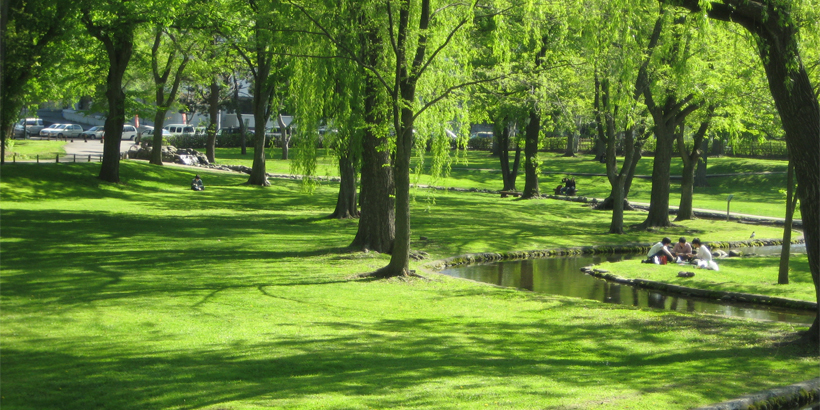 北海道大学構内　札幌観光協会より